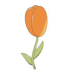 orange flower