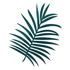 Tropical palm frond