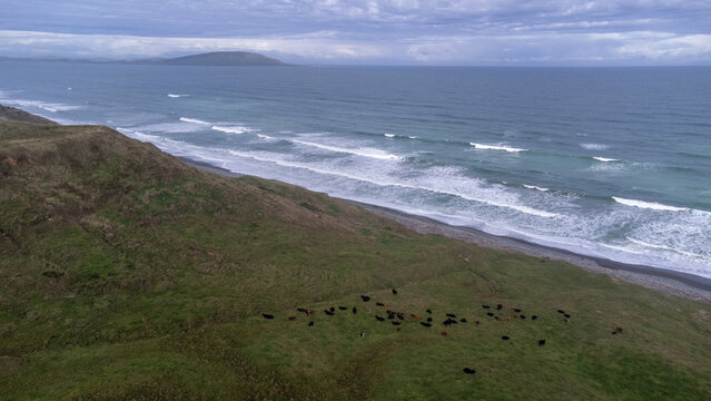 Aerial (drone) photo of black sand beach, south island, new zealand