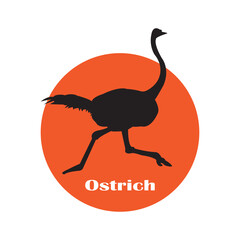 ostrich icon