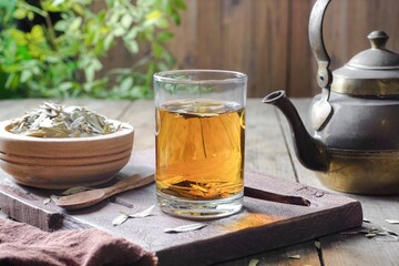 Medication senna dry tea leaf - obrazy, fototapety, plakaty