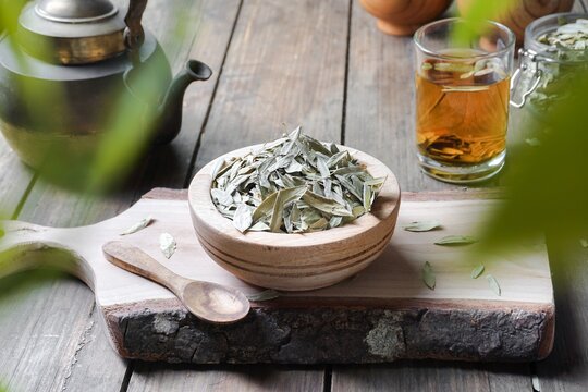 Medication senna dry tea leaf