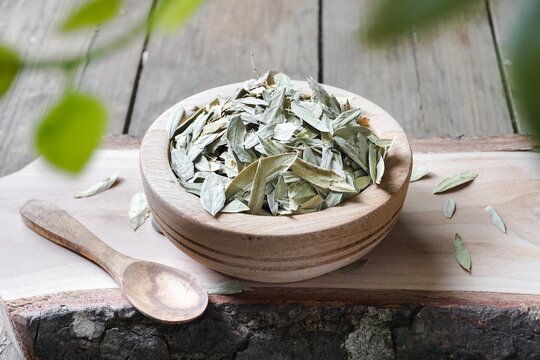 Medication senna dry tea leaf