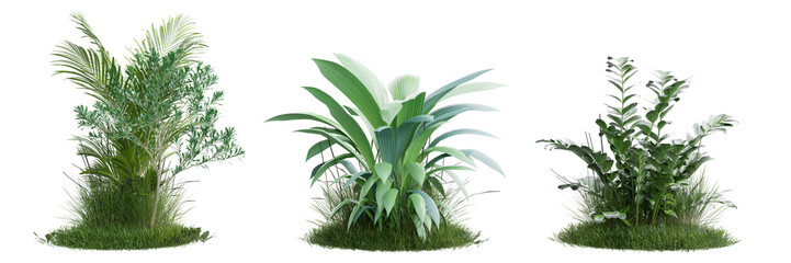 Collection green grass and plant on transparent background 3d rendering png.