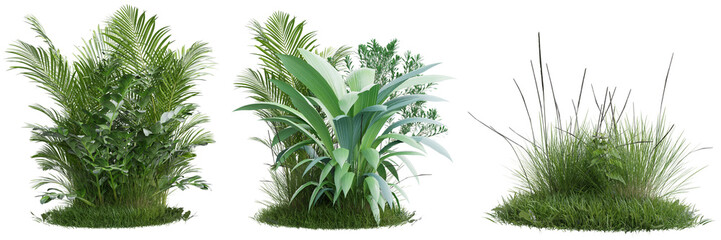Collection green grass and plant on transparent background 3d rendering png..