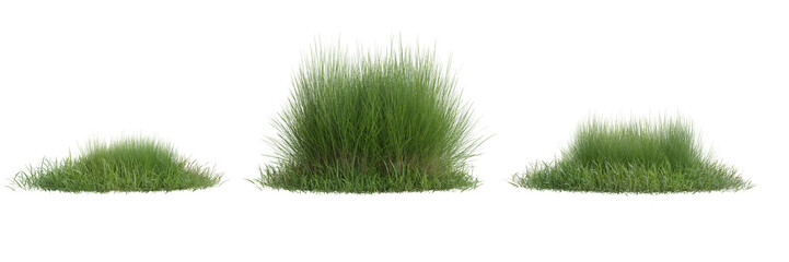 Collection green grass on transparent background 3d rendering png.