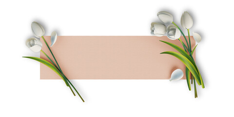 Flower on paper with transparent background