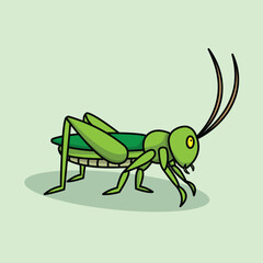 Fototapeta na wymiar illustration of a grasshopper