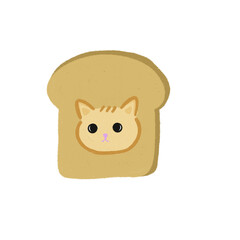 International cat day