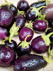 purple eggplants in water drops