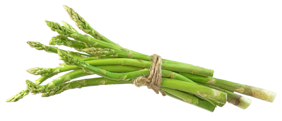 Fresh green asparagus or bunches of green asparagus isolated. Png transparency