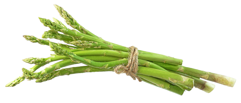 Fresh green asparagus or bunches of green asparagus isolated. Png transparency