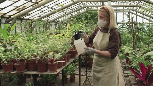 Senior woman wearing protective respirator mask spraying potted plants with pesticides in greenhouse