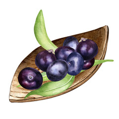 Composition of acai berries on wooden plate watercolor illustration isolated on white. Exotic amazon small purple berries on leaf shaped plate, palm leaves hand drawn. Design element for packaging