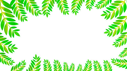 Green leaf png, Green leaf transparent, green leaves frame