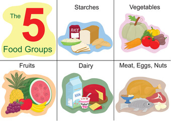 Five food groups. Cartoon coloured