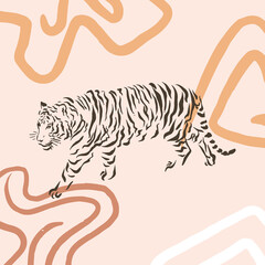 Lazy tiger animal art illustration