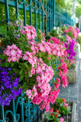 ハンギングバスケットの架かる洋風の門扉　