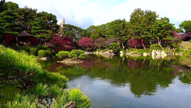 紅葉が美しい秋の日本庭園  4K  2022年11月24日広島 縮景園にて撮影