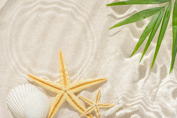 sun lights with hard shadow in ripple water on abstract sand background with palm leaf shell, starfish, beautiful abstract spa concept banner