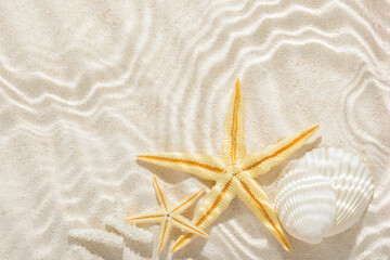 sun lights with hard shadow in wavy water on abstract sand background with shell, starfish, beautiful abstract spa concept banner of sea paradise island