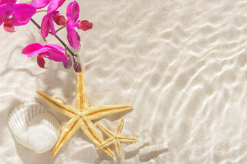 sun lights with hard shadow in wavy water on abstract sand background with orchid, shell, starfish, beautiful abstract spa concept banner of sea paradise island