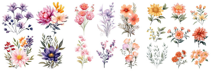 Fototapeta na wymiar Set of beautiful flower ,Watercolor collection of hand drawn flowers , Botanical plant illustration transparent background, PNG ,Generative AI