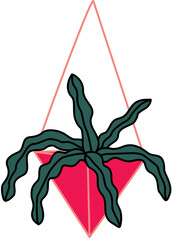 Bird_s Nest Fern in Triangle Hanging Pot