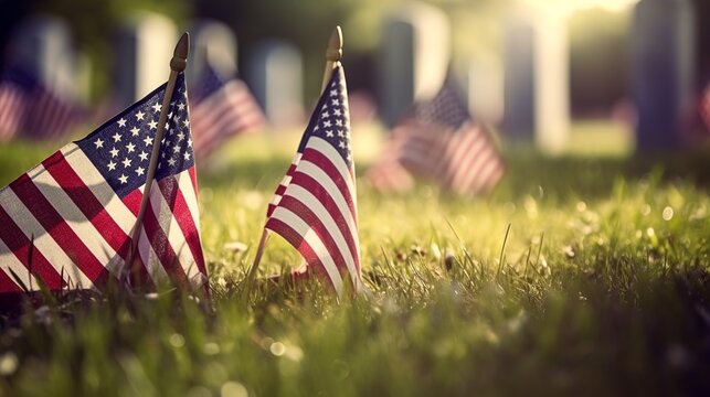 american flag on the grass