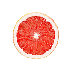 Grapefruit isolated on white background  with clipping path