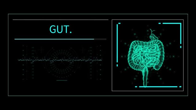 Tech Medical Scanner dengan animasi HUD Siamese Twins UI dengan konsep teknologi medis digital
