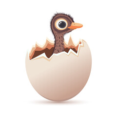 A baby ostrich in an eggshell. Cartoon drawing. Head of an ostrich chick. Ostrich egg. Feathered baby ostrich hatching from egg. Vector. Closeup. 