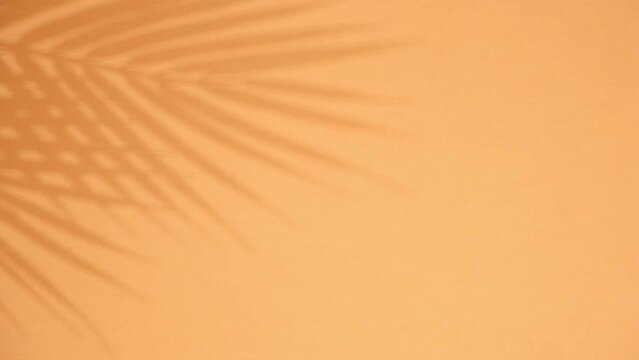 Palm leaves and their shadow on an orange background. Summer concept. Shadows of tropical leaves of a palm tree on a light brown background. Top view, flat lay.