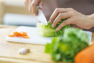 Prepare food  woman is preparing vegetable salad in the kitchen Healthy Food Healthy Cooking