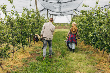 Back view of a woman pushing the cart and a man carrying the trimmer for the grass in the orchard.