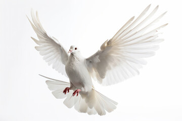 This beautiful white bird in flight, with its wings spread wide and feathers fluffed, is a true marvel of nature. AI Generative.