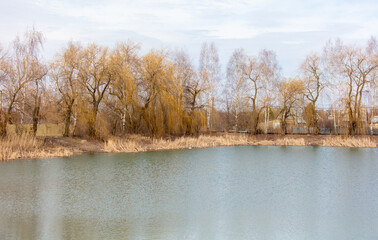 Obraz premium Landscape with a lake and trees in the city in the early spring