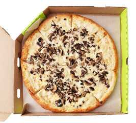 Mushroom pizza in a cardboard box isolated on a white background