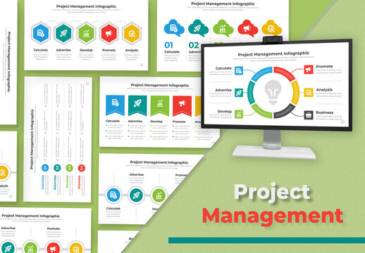 Project Management Infographic For Business
