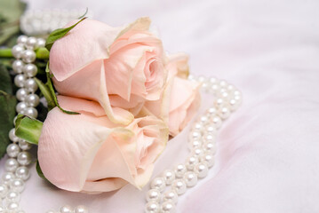 The branch of pink rose on white fabric background
