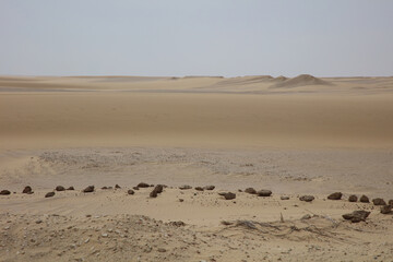 Fototapeta na wymiar desert and sand dunes on a cloudy day