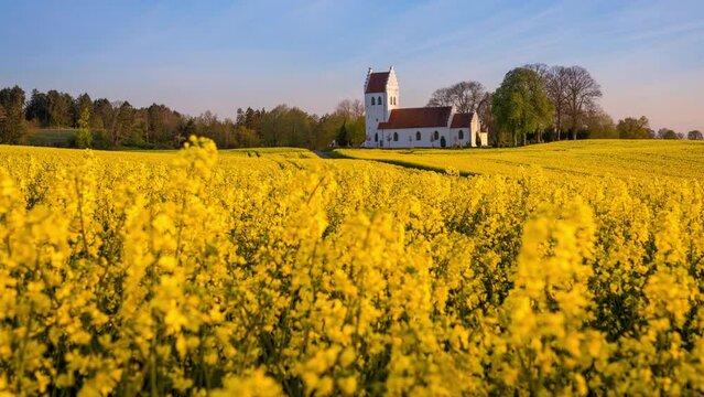 Beautiful danish country church seen behind a rapeseed field on a clear summer morning. A timelapse clip of Krogstrup Church near Skibby