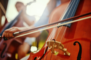 Woman, hand and cello closeup with instrument string and band outdoor playing classical music. Backyard, summer and person with talent and creativity with instruments and acoustic players together - obrazy, fototapety, plakaty