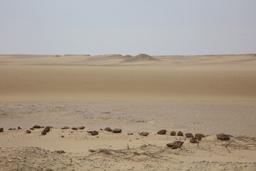 Fototapeta na wymiar Desert and sand dunes on a cloudy day