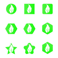 set of icons/Vector leaf illustration 6