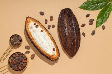 Concept of fresh and aromatic food - cacao beans