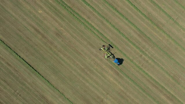 Above top view dolly move parallel, follow tractor as tow trailed agricultural machinery, wheel finger, twin side rotary, mechanical rake, collecting dry Lucerne into bigger and thicker rows.