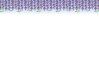 涼しげな藤の花の手描きベクターイラスト