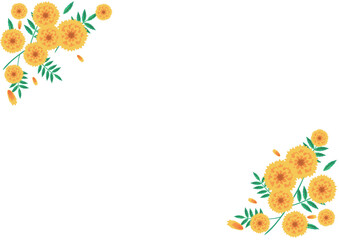 マリーゴールドの花の手描きベクターイラスト