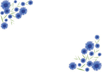 青い矢車草の手描きベクターイラスト